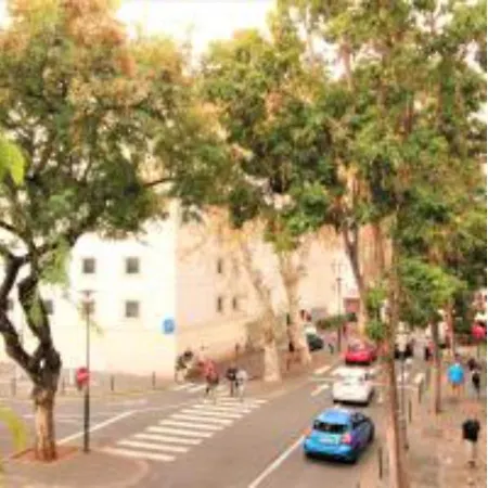 Vieira Best Location Apartment